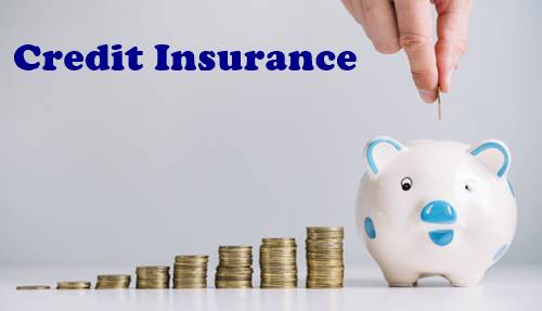 Types Of Credit Insurance