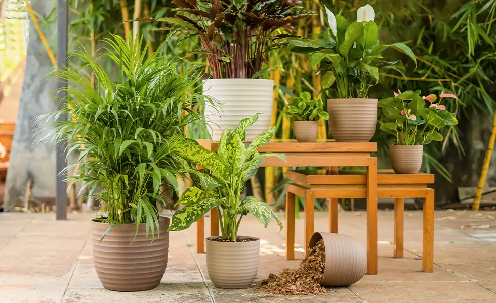 Wholesale Plant Pots: A Key Component For Sustainable Agriculture